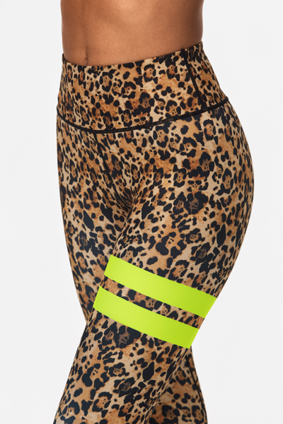 Colorful Leopard Mesh Pocket Leggings Unique Leggings Pocket